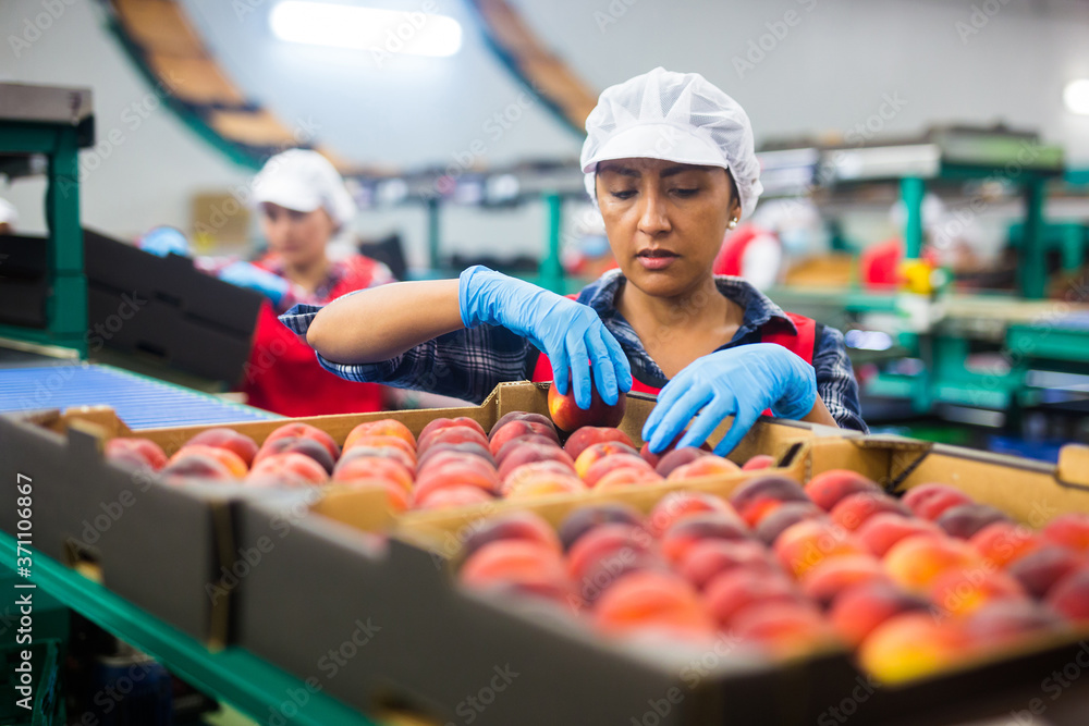 Efficient food safety audit completion in a food production environment